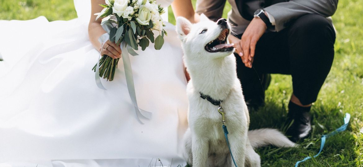 Bride with groom with their dog on their wedding day